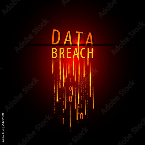 data breach flaming code