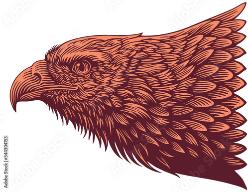 Eagle's Head. Editable hand drawn illustration. Vector vintage engraving. Isolated on white background. 8 eps