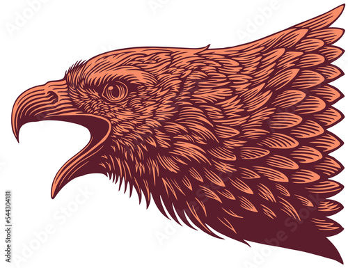 Eagle's Head. Editable hand drawn illustration. Vector vintage engraving. Isolated on white background. 8 eps