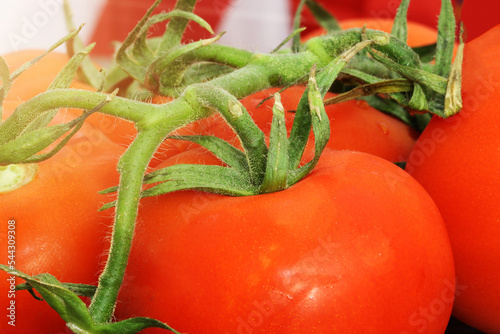 Nahaufnahme von frischen Tomaten photo