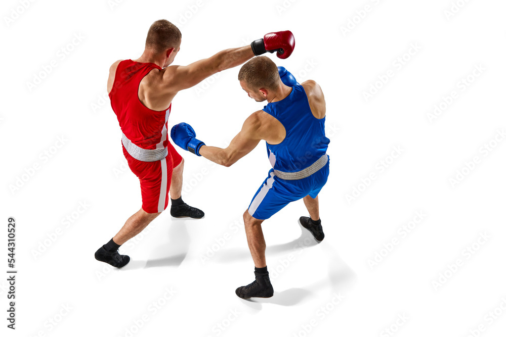 Battle of two boxers. Two muscular professional boxers in blue and red sportswear training isolated on white background. Aerial view