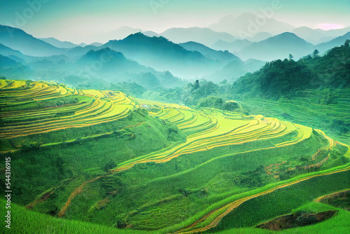 rice terraces in island, tea plantation