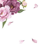 Flower watercolor illustration of peonies and petals isolated, bouquet of flowers, corner frame