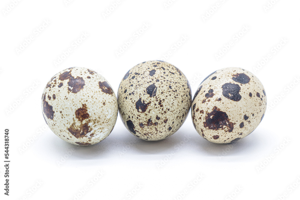 quail eggs on white background quail eggs on white background