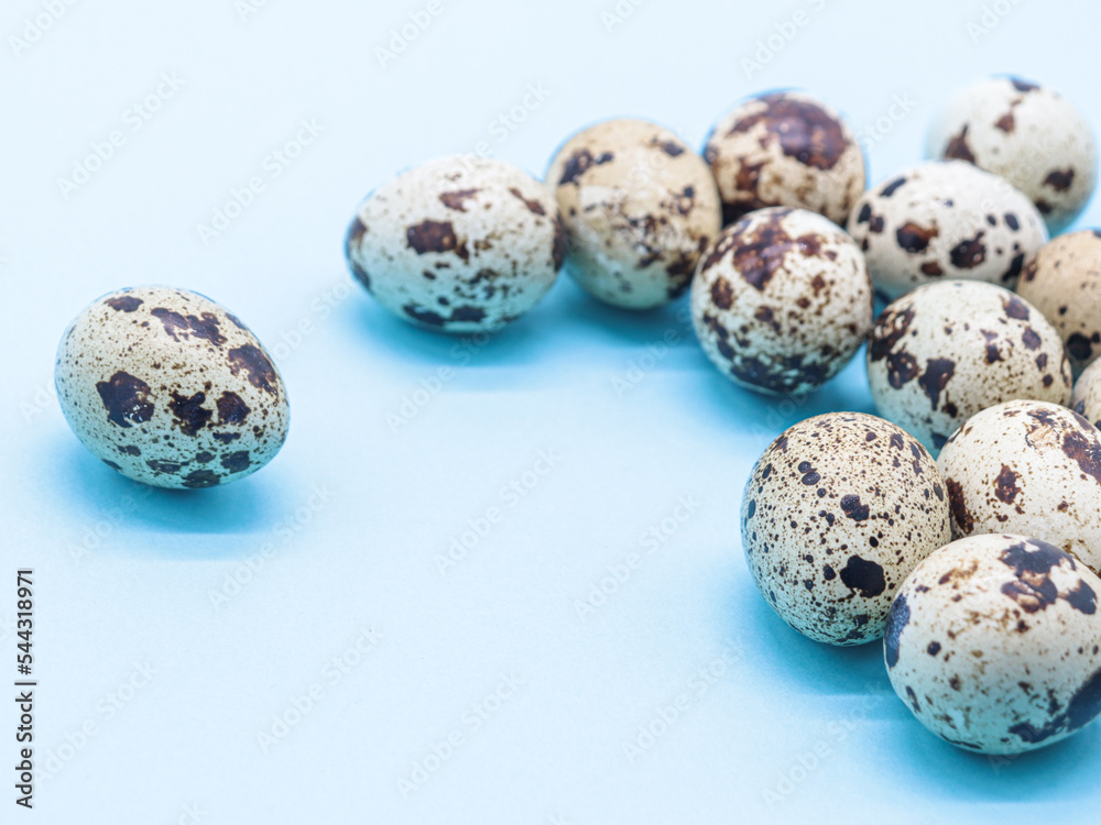 Fototapeta premium quail eggs on blue background