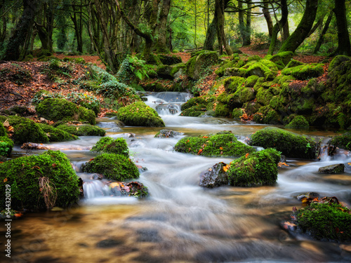 bosahan woodland stream near Constantine cornwall england uk 