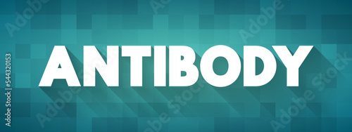 Antibody - is a large Y-shaped protein used by the immune system to identify and neutralize foreign objects such as pathogenic bacteria and viruses, text concept background