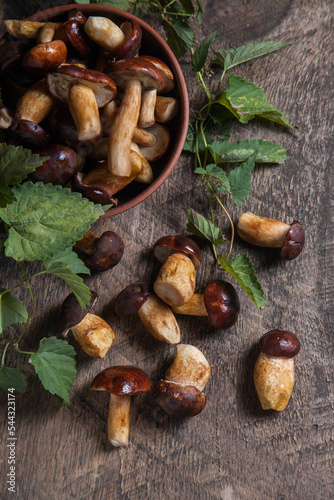 Pile of Imleria Badia or Boletus badius mushrooms commonly known as the bay bolete on vintage wooden background..