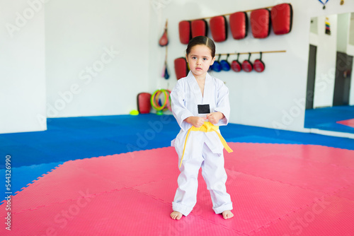 Adorable young kid ready for a taekwondo practice