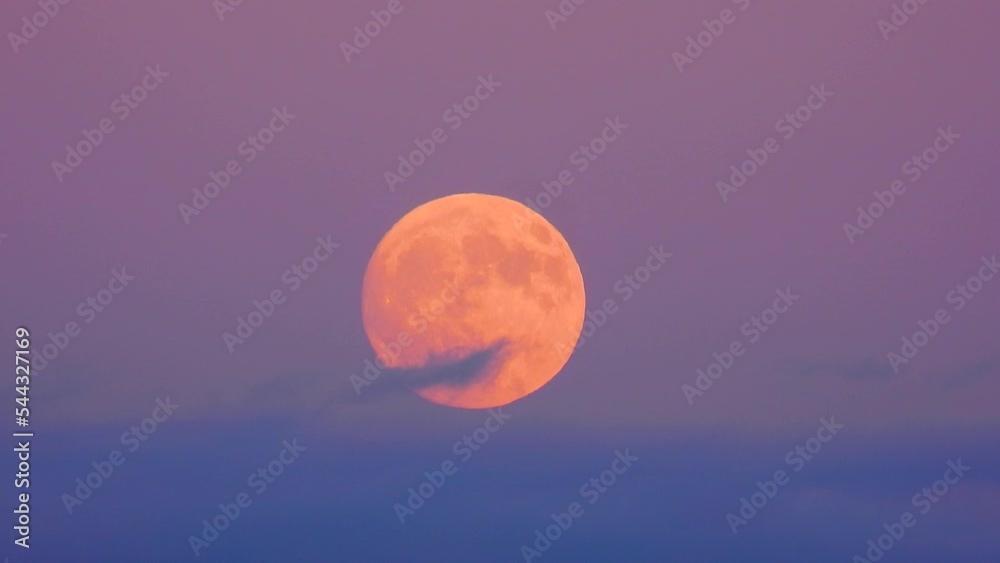 beautiful big rising moon against the sky