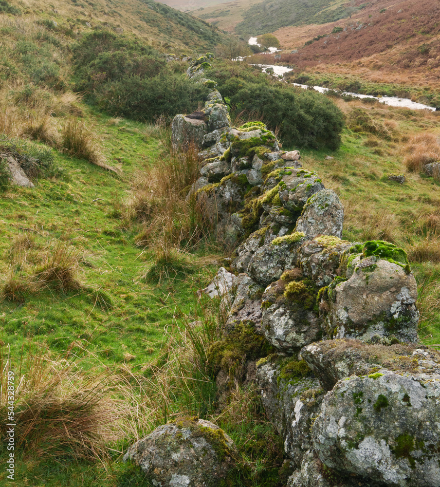Fototapeta premium stone wall on Dartmoor