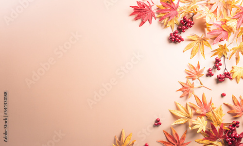 Autumn and thanksgiving decoration concept made from autumn leaves, berry and pumpkin on dark background. Flat lay, top view with copy space. © Siam