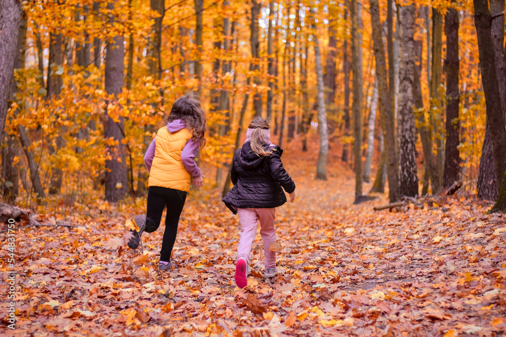Two girls (sisters) run and play in a beautiful autumn forest. Shallow depth of field. Two girls (sisters) run and play in a beautiful autumn forest. Shallow depth of field.