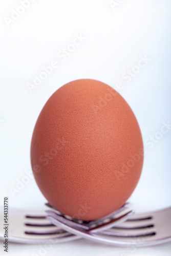 Chicken egg in a brown shell on forks. White background.