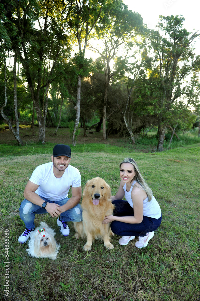 familia feliz com cachorros golden familia feliz com cachorros golden