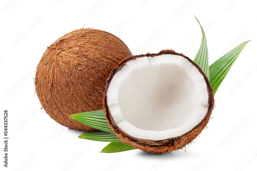 old coconuts with green leaves isolated on white background. old coconuts with green leaves isolated on white background.