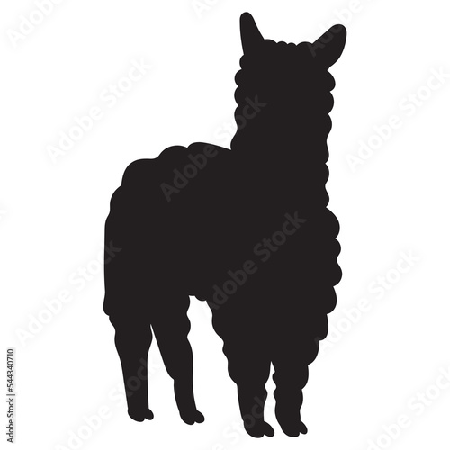 Alpaca. Silhouette. Hand drawn vector illustration. 