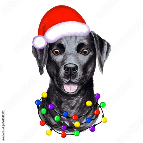 Labrador retriever Dog with christmas lights in Santa's hat. Cute Christmas illustration
