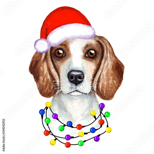 Beagle Dog with christmas lights in Santa's hat. Cute Christmas illustration