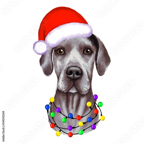 Great Dane Dog with christmas lights in Santa's hat. Cute Christmas illustration