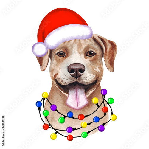 American Pit Bull Terrier Dog with christmas lights in Santa's hat. Cute Christmas illustration