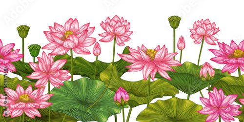 Seamless horizontal pattern garden with lotus flowers