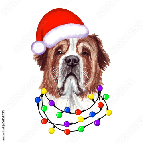 St. Bernard Dog with christmas lights in Santa's hat. Cute Christmas illustration
