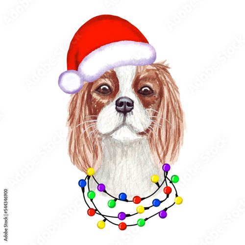 Cavalier King Charles Spaniel Dog with christmas lights in Santa's hat. Cute Christmas illustration