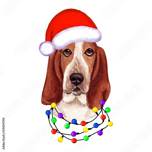 Basset hound Dog with christmas lights in Santa's hat. Cute Christmas illustration