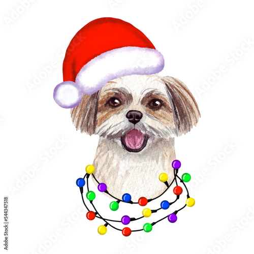 Shih Tzu Dog with christmas lights in Santa's hat. Cute Christmas illustration