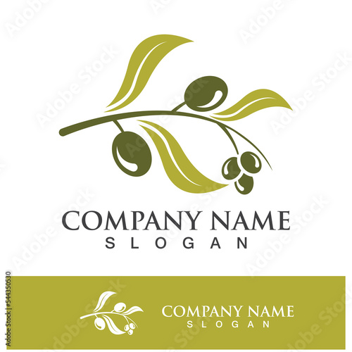 Extra virgin olive oil logo design