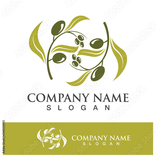 Extra virgin olive oil logo design