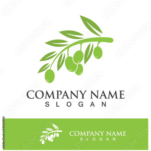 Extra virgin olive oil logo design