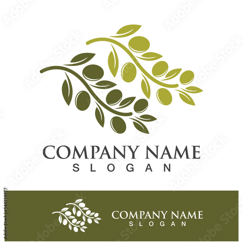 Extra virgin olive oil logo design
