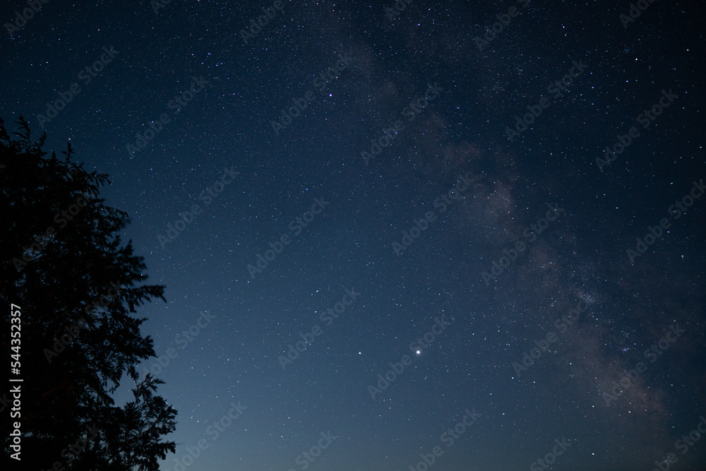 a beautiful night sky, the Milky Way and the trees a beautiful night sky, the Milky Way and the trees