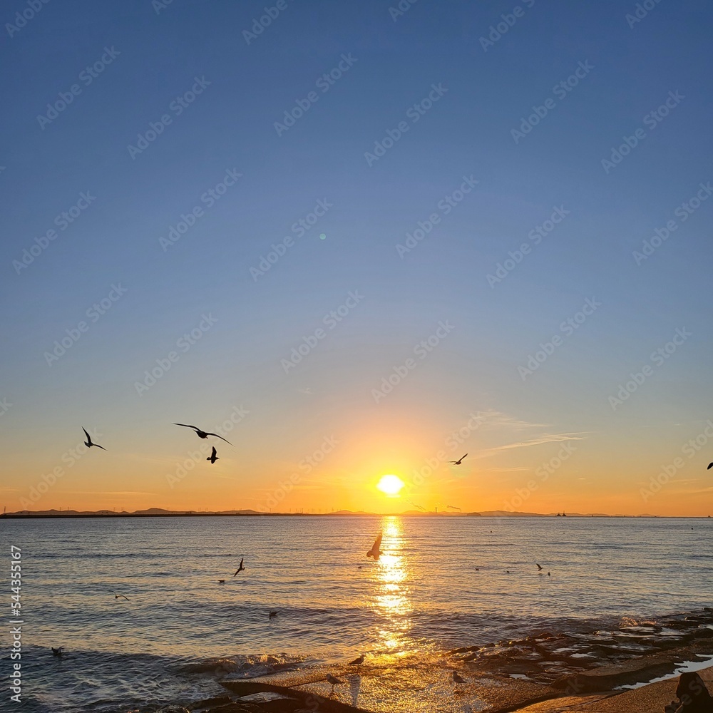 Sunset Sunset
