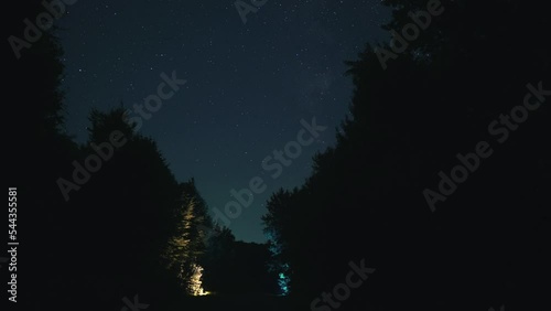 Night Timelapse with stars and woods