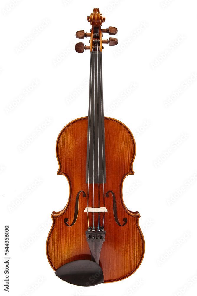 Fototapeta premium violin
