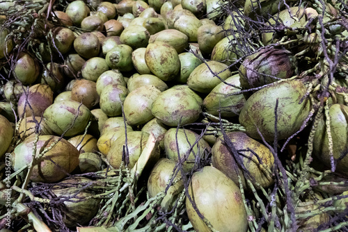 coconut  © Isabela Senatore