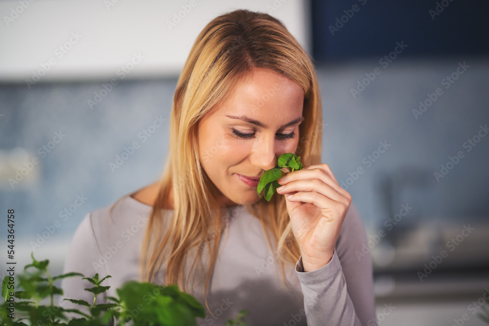 Caucasian woman smelling fresh green basil leaves picked from the plant from her kitchen herb garden, close-up shot. Caucasian woman smelling fresh green basil leaves picked from the plant from her kitchen herb garden, close-up shot.