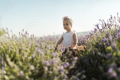 beautiful happy girl sitting in a basket in a blooming lavender field