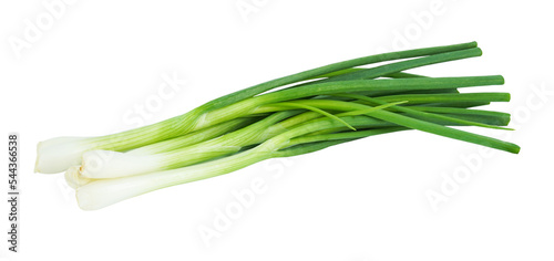 Green onion isolated on transparent background with PNG.