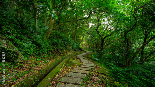 alley  slate  paved  forest trail  shade  clean  cool