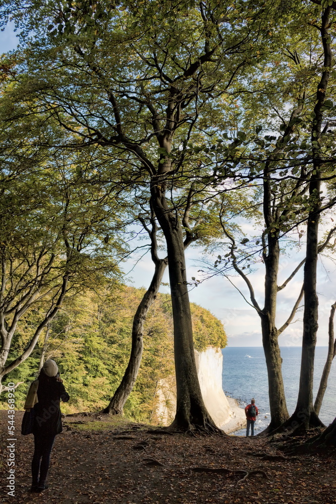 sassnitz, deutschland - felsenküste auf der insel rügen