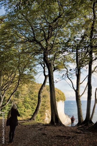Obraz na płótnie sassnitz, deutschland - felsenküste auf der insel rügen w salonie