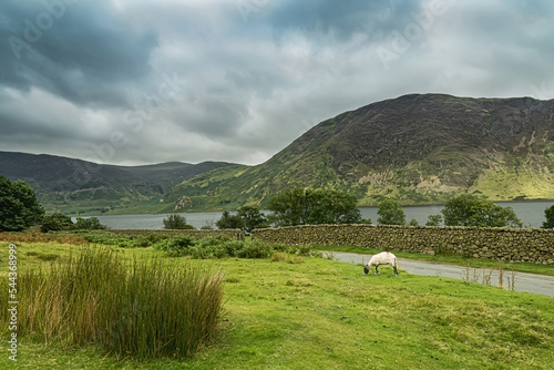 Wallpaper Mural landscape with shep Torontodigital.ca