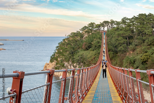 Colorful red suspended bridge and rocky cliffside coastline trees forest and at the beach ocean in Daewangam Park Ulsan South Korea during a golden sunset photo