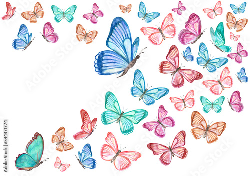 flying colorful butterflies for your design. watercolor painting. png