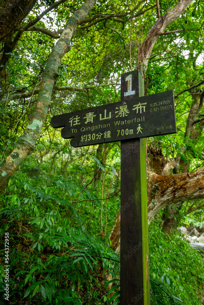 forest, trail, set, road sign, signage, forest trail,