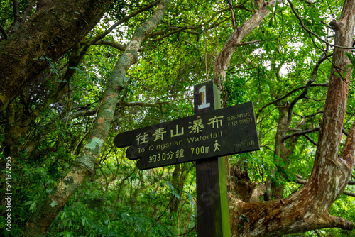 forest, trail, set, road sign, signage, forest trail,